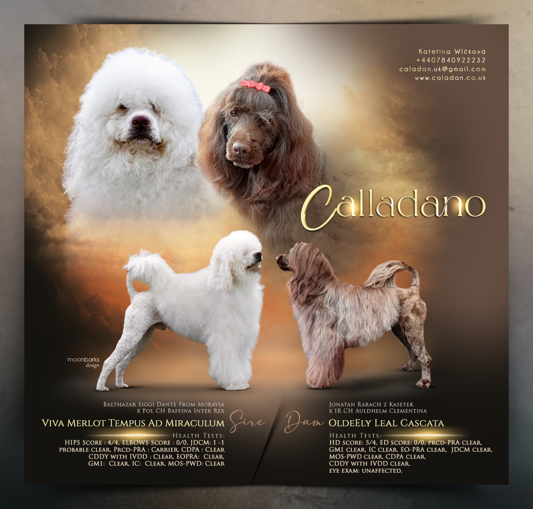 calladano2025